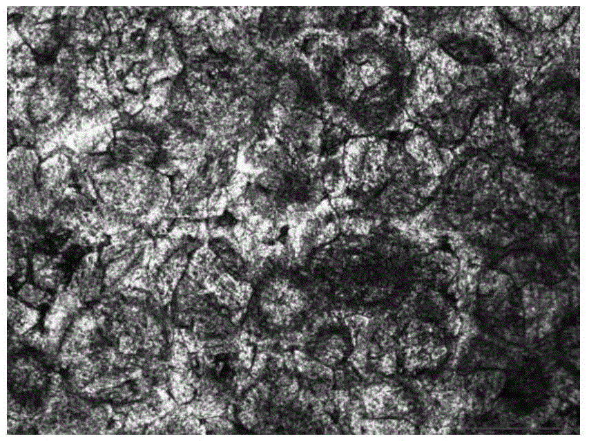 Dolomite karst reservoir genesis identification method and apparatus