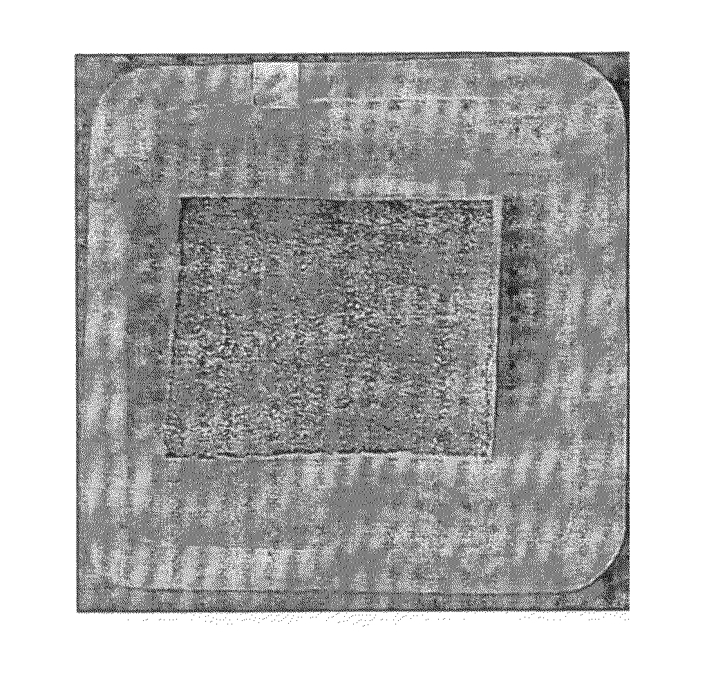 Gelatin Sponge Comprising an Active Ingredient, Its Preparation and Use