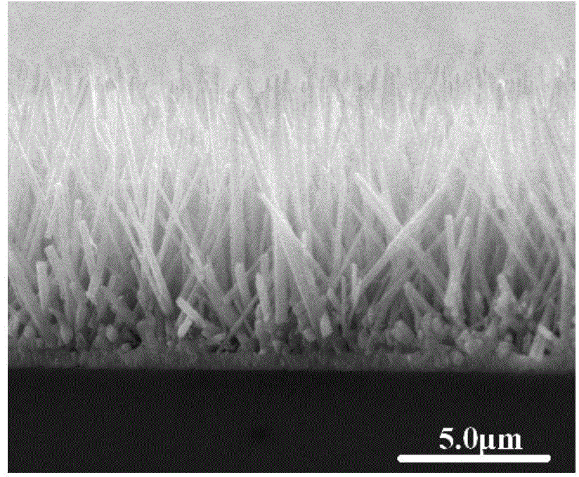 Preparation method of ZnO-CuInS2 heterogeneous core-shell structure nanorod array