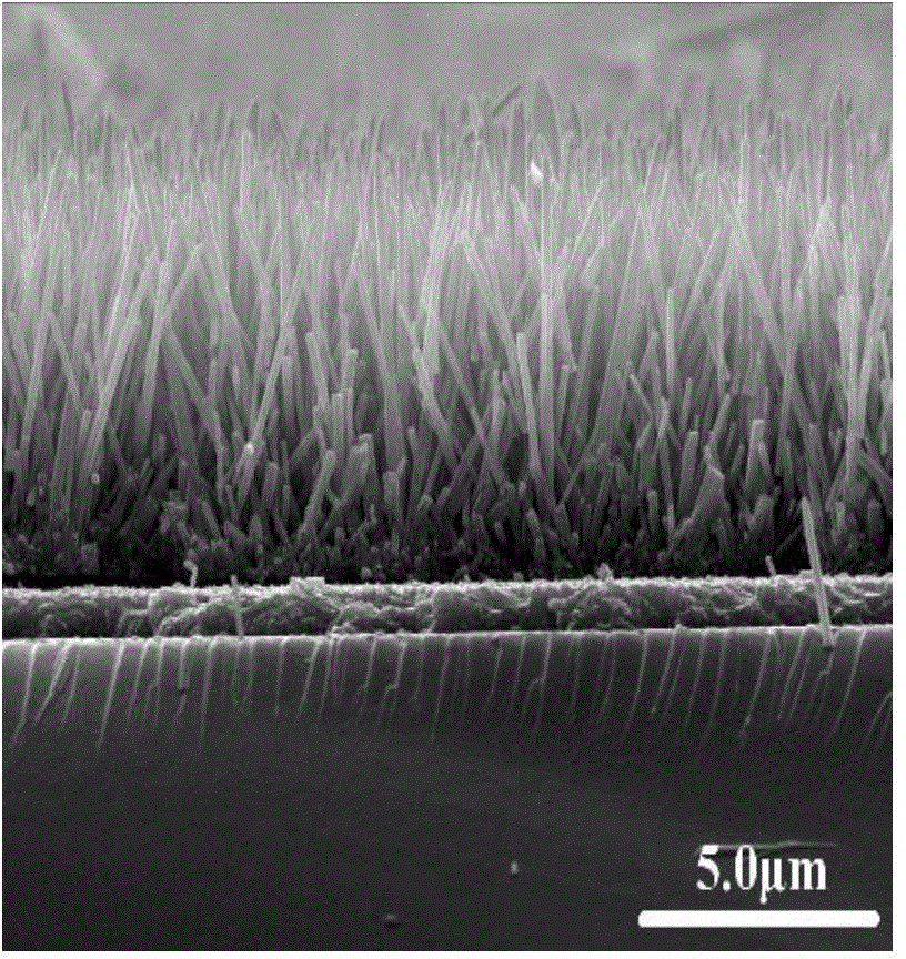 Preparation method of ZnO-CuInS2 heterogeneous core-shell structure nanorod array