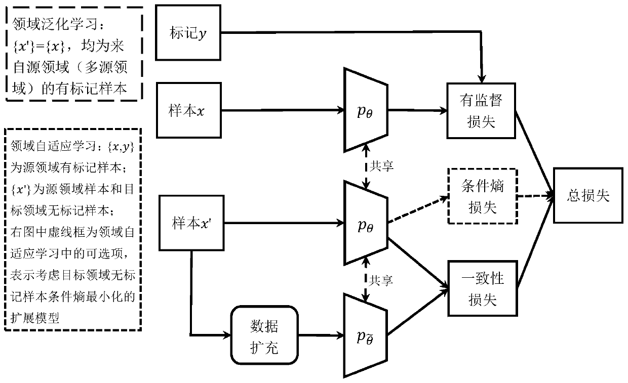 Domain generalization and domain adaptive learning method based on data expansion consistency