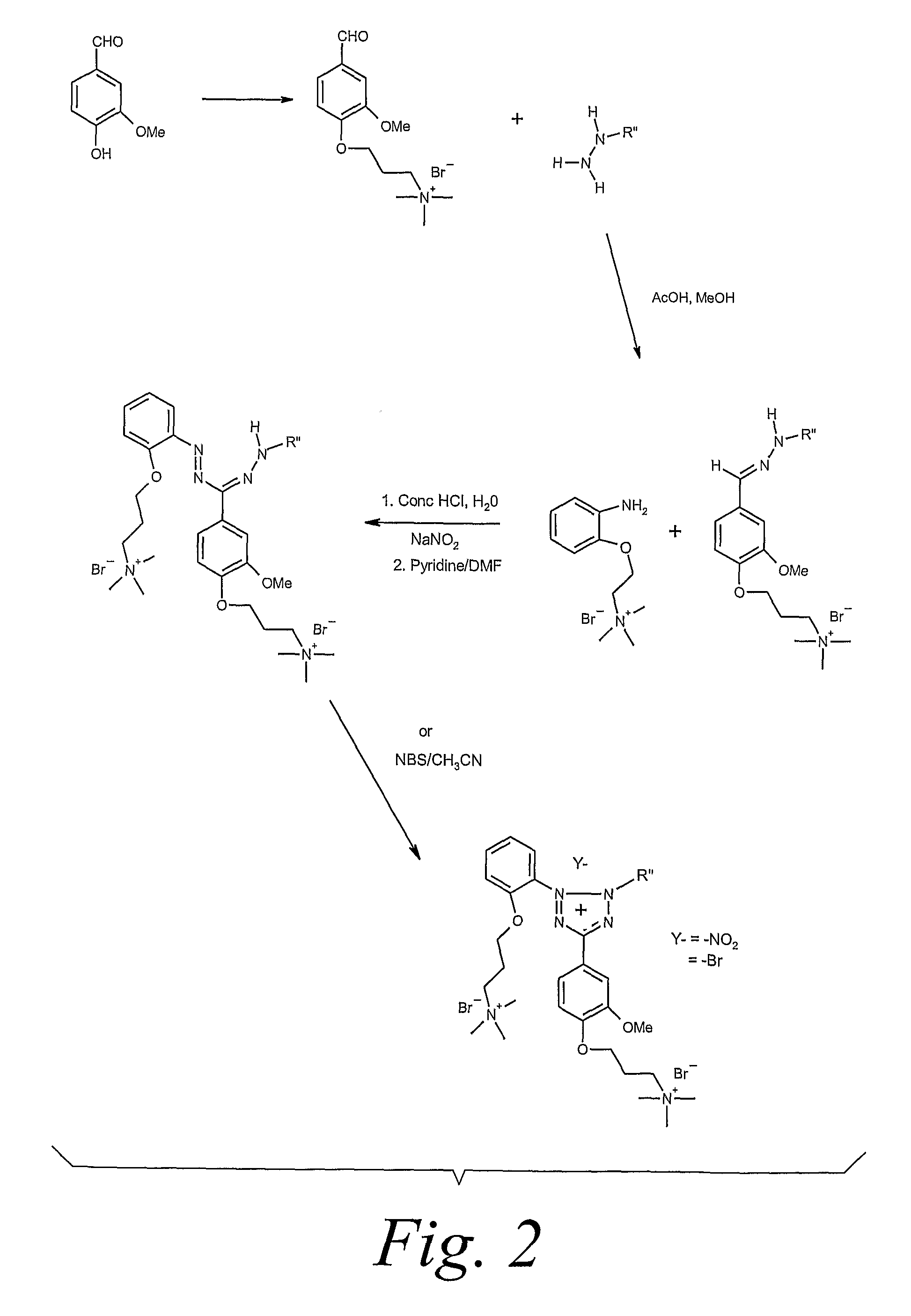 Water-soluble tetrazolium salts