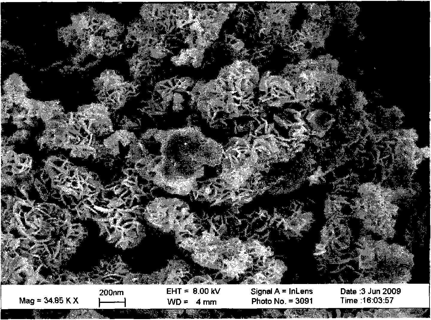 Method for preparing lobate ferroferric oxide aerogel particle