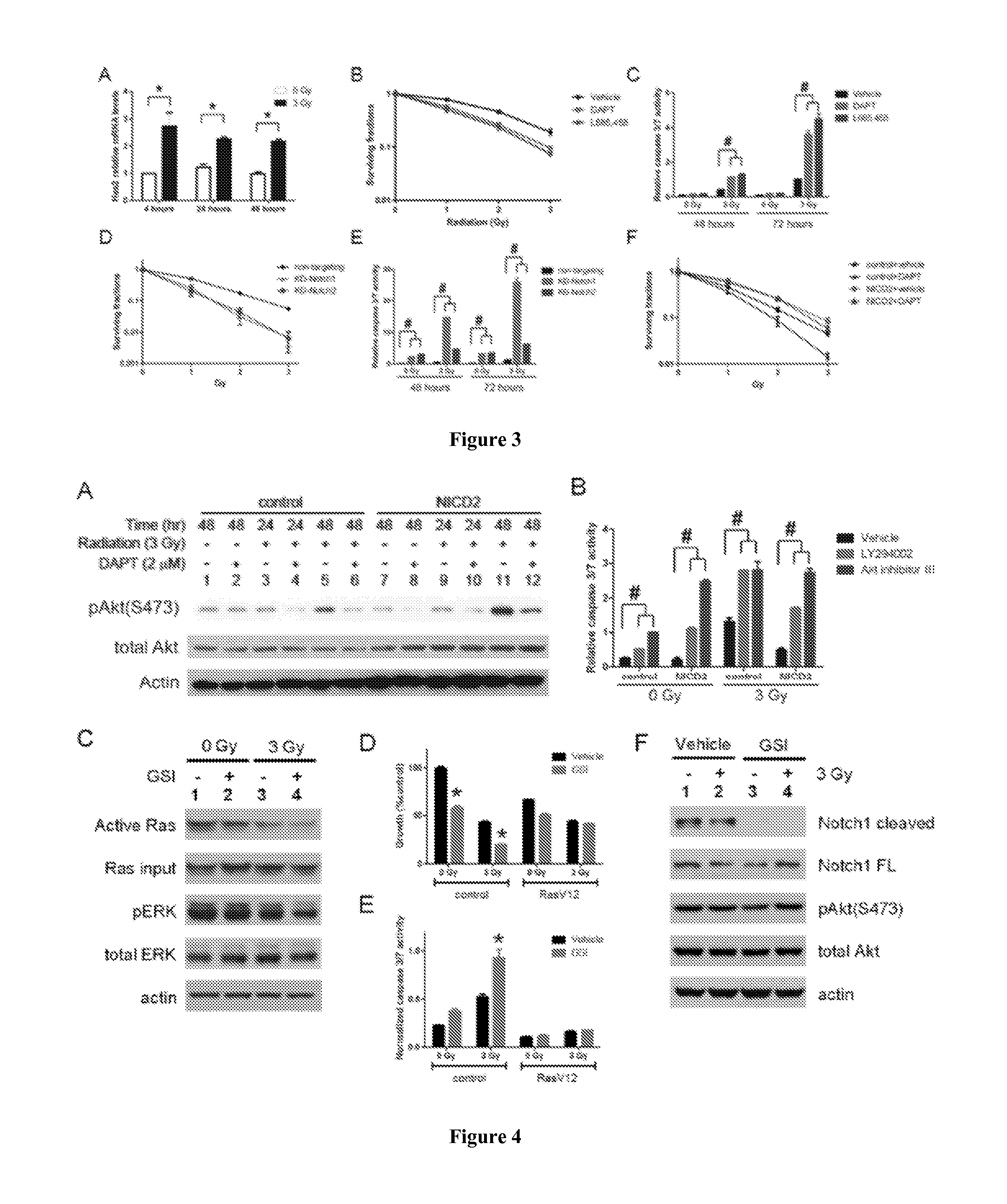 Compositions and methods for targeting glioblastomas cells