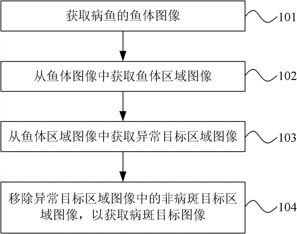 Method and system for processing image of diseased fish body