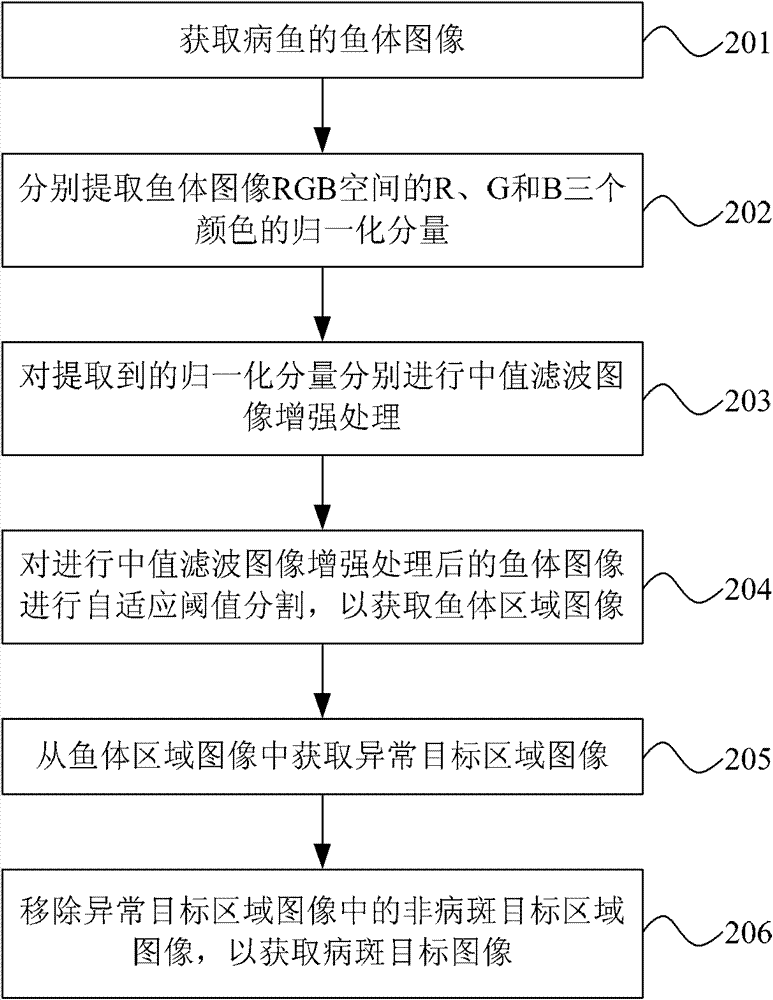 Method and system for processing image of diseased fish body