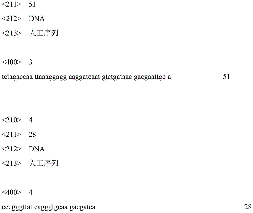 Method for producing gamma-aminobutyric acid by using recombinant Bacillus subtilis