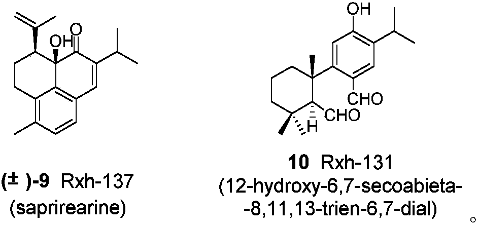 Series of open-loop abietane diterpene compounds, and pharmaceutical compositions and application thereof in pharmacy