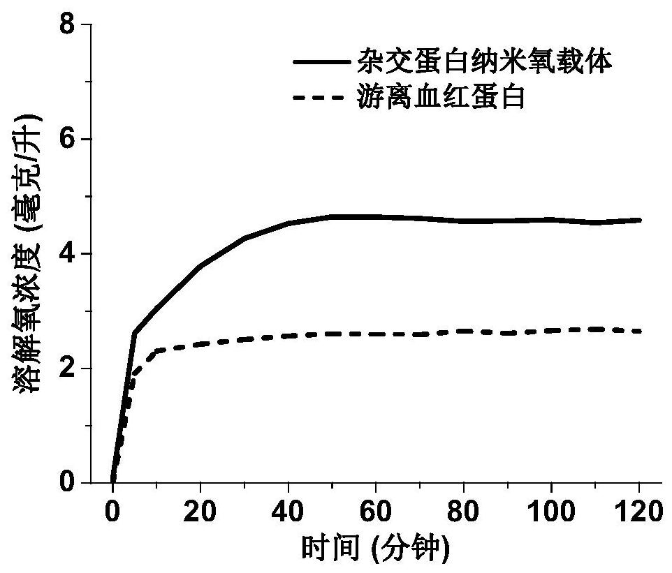 Hybrid protein nano oxygen carrier and its preparation method and application