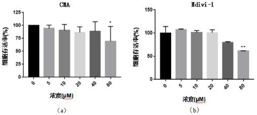 A composition for inhibiting macrophage activation and its application in preparation of anti-inflammatory products