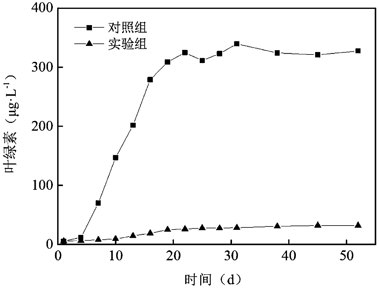 Method for efficient inhibition of sewage plant effluent microalgae with submerged plants