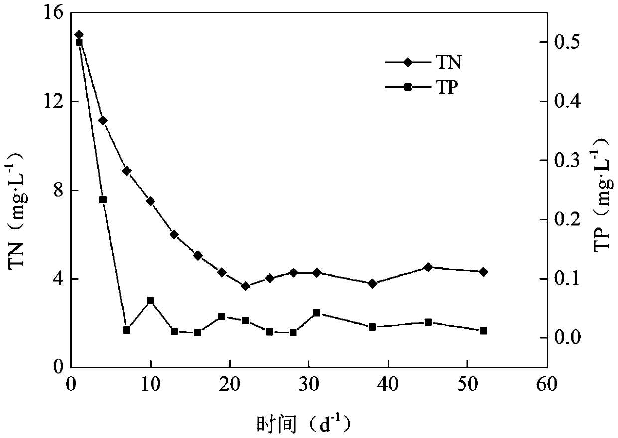 Method for efficient inhibition of sewage plant effluent microalgae with submerged plants