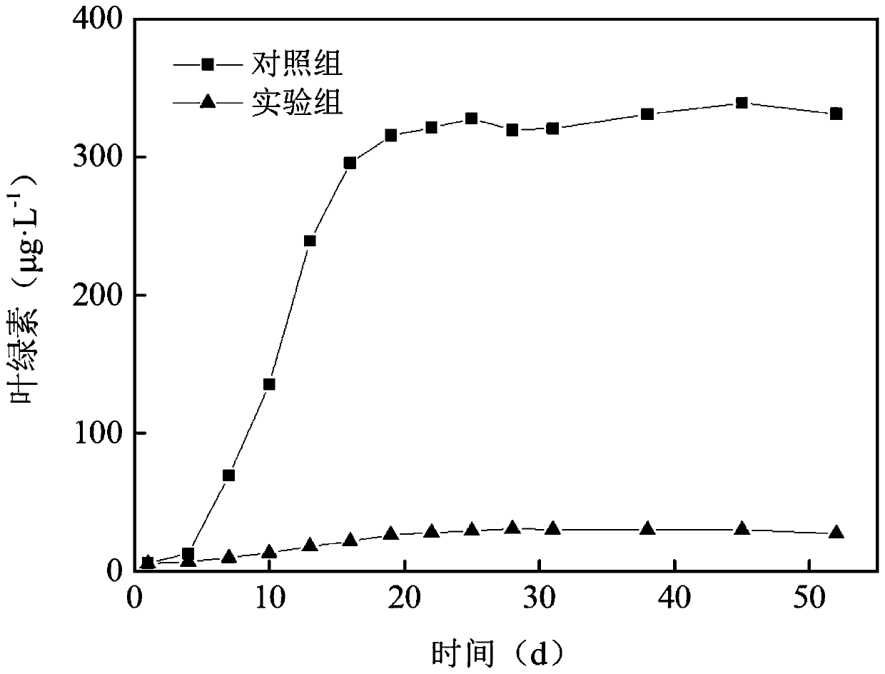 Method for efficient inhibition of sewage plant effluent microalgae with submerged plants