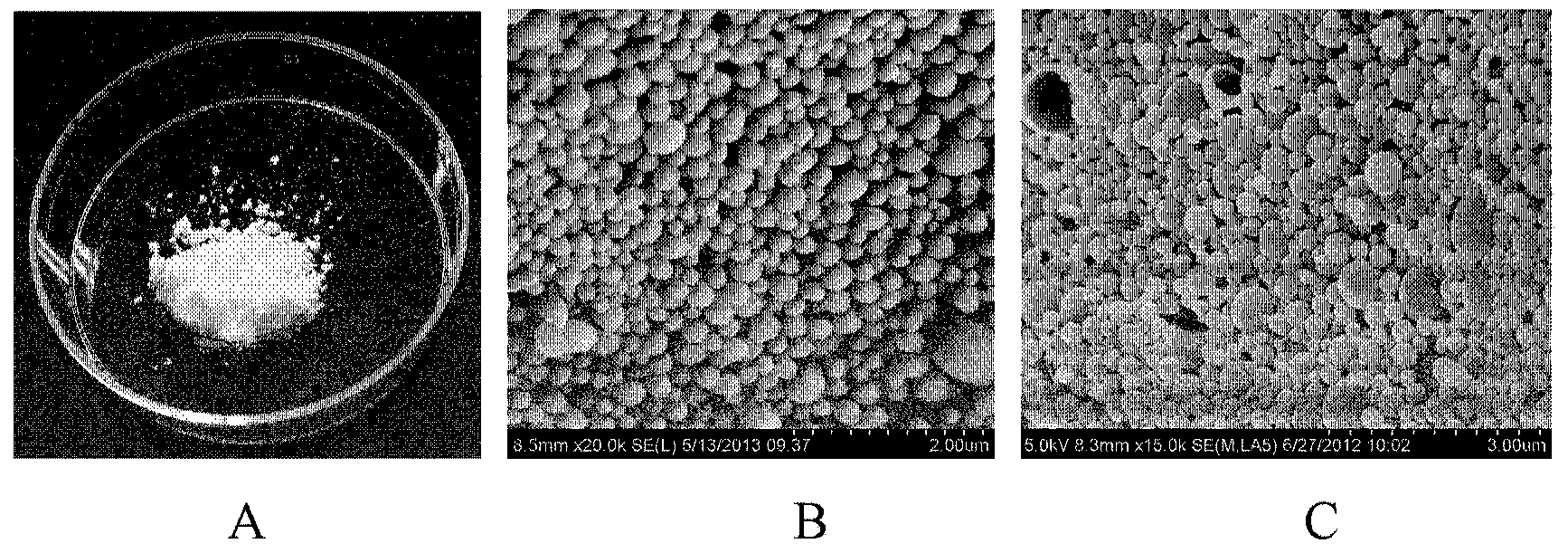 Hyaluronic acid-orientated channel composite bracket material used for spinal cord injury repair