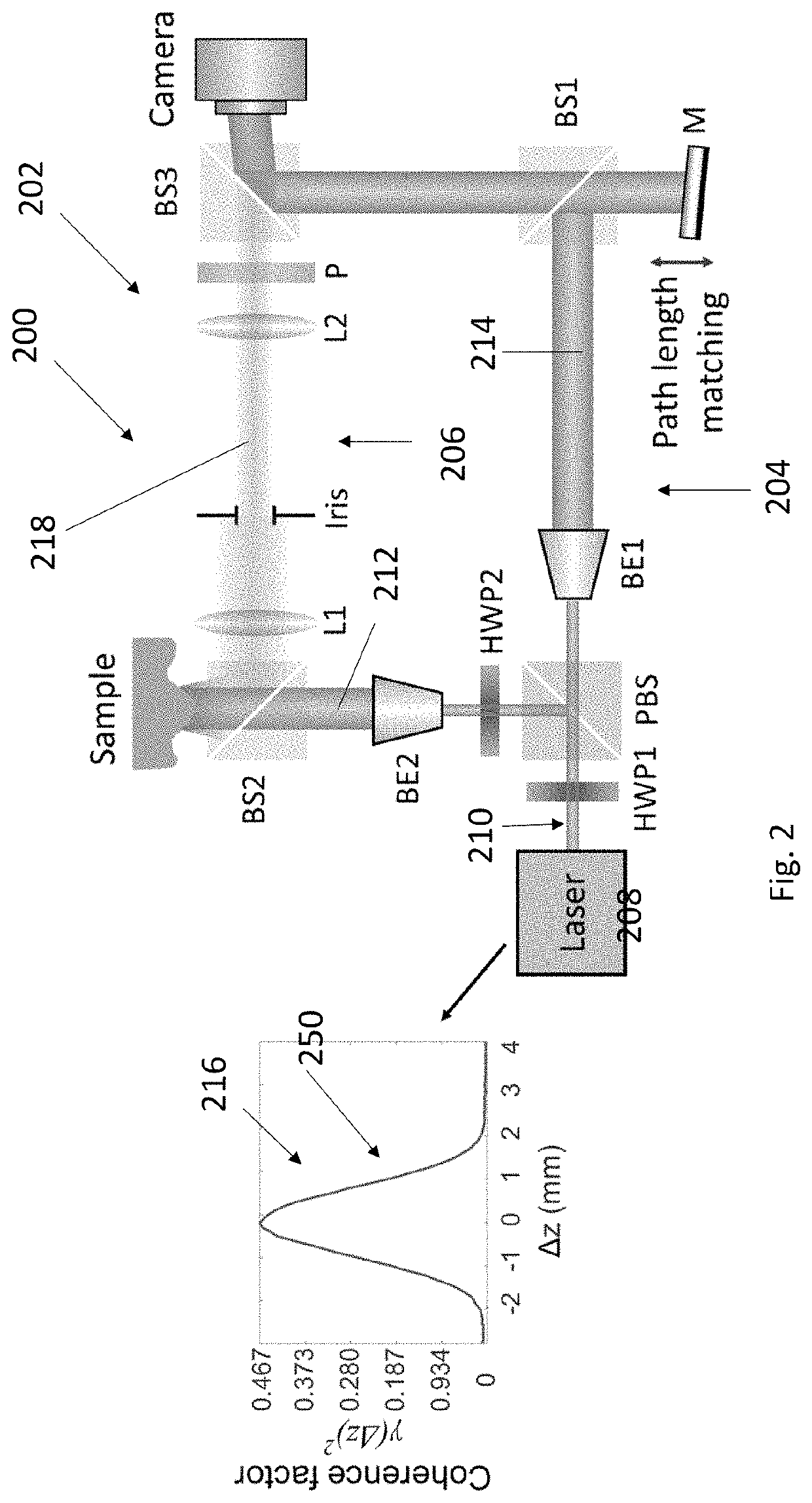 Three dimensional (3D) imaging using optical coherence factor (OCF)