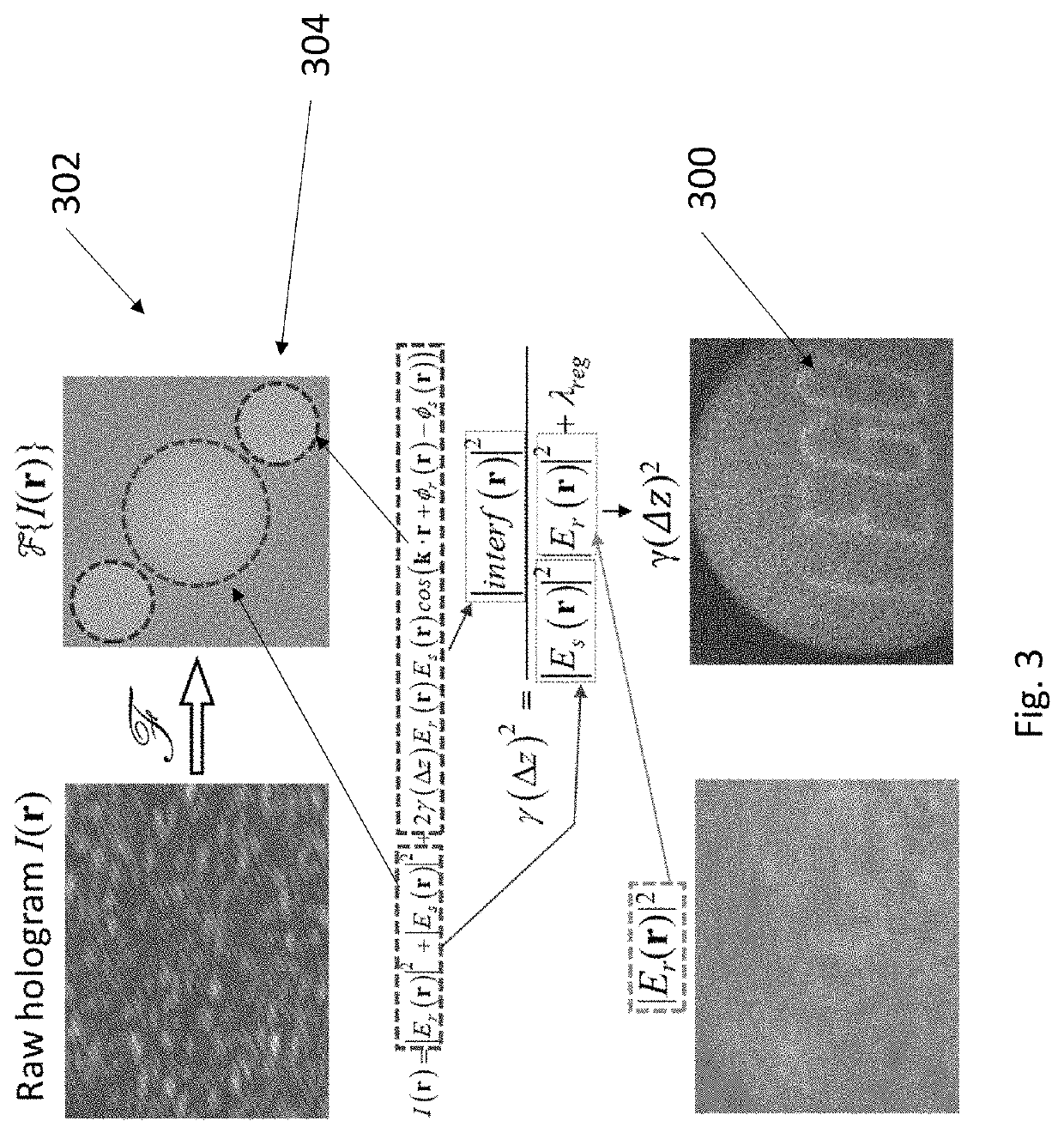 Three dimensional (3D) imaging using optical coherence factor (OCF)