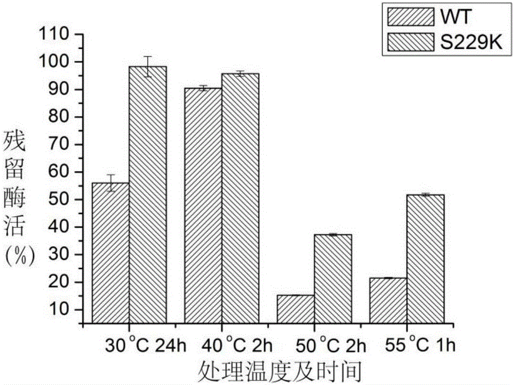 A mutant of alkaline pectinase with improved thermostability