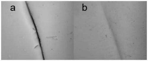 High-strength self-healing hydrogel based on modified hyaluronic acid and preparation method thereof