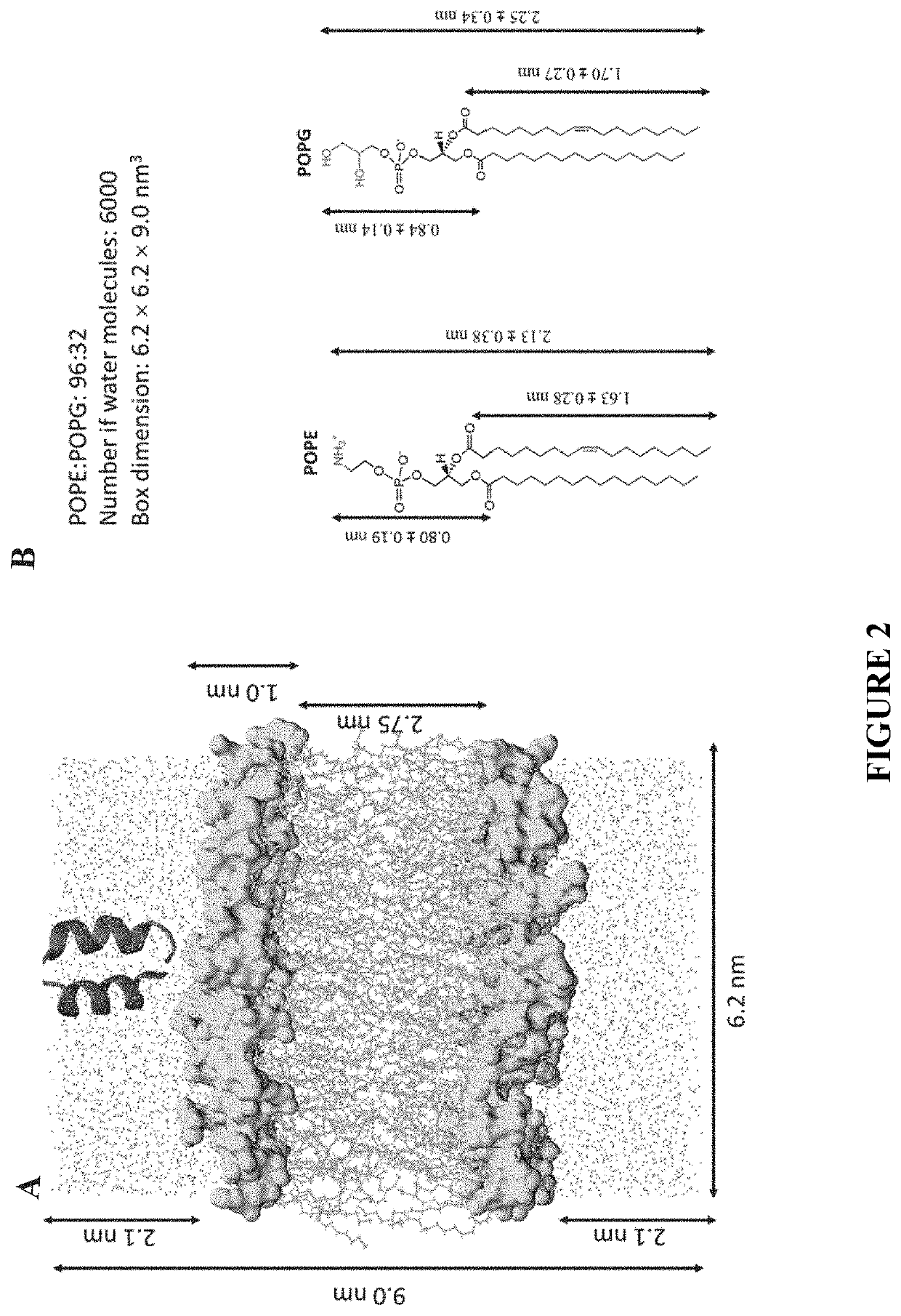 Compositions and Methods for the Treatment of Huanglongbing (HLB) aka Citrus Greening in Citrus Plants