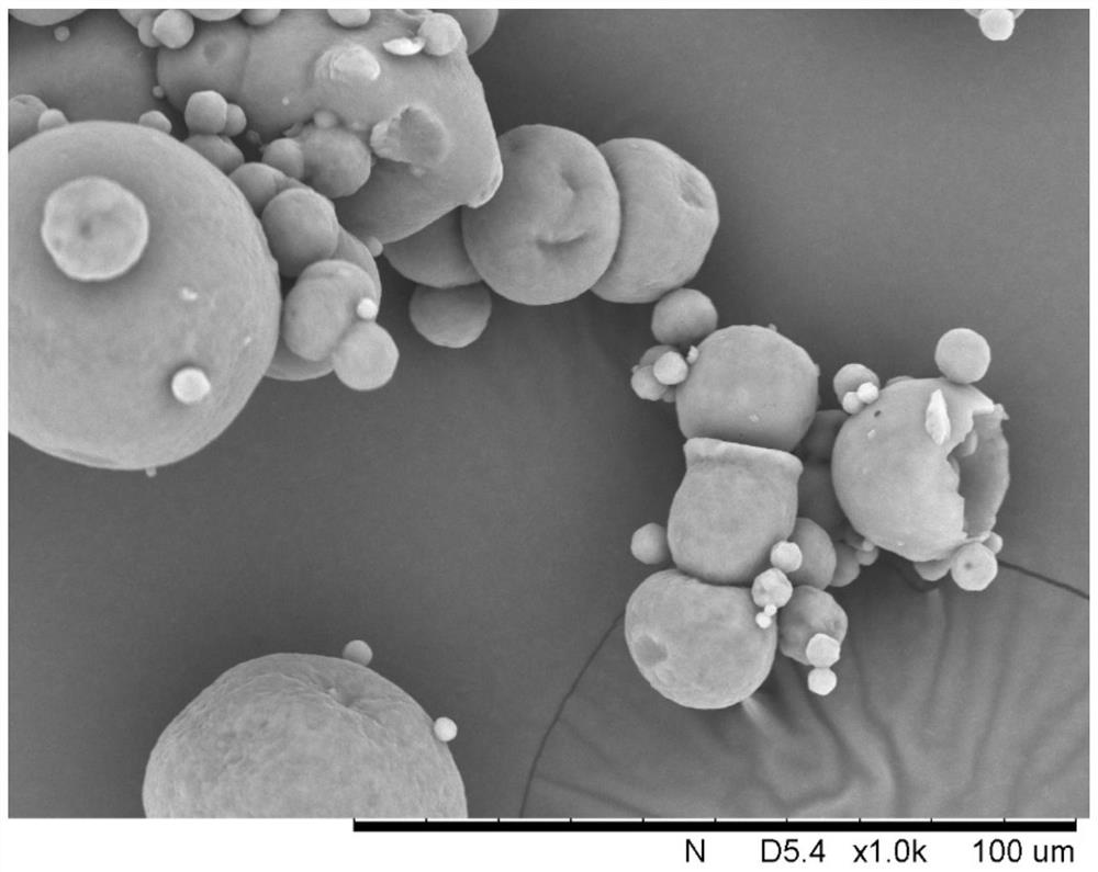 A high-protein double-protein milk drink and its preparation method