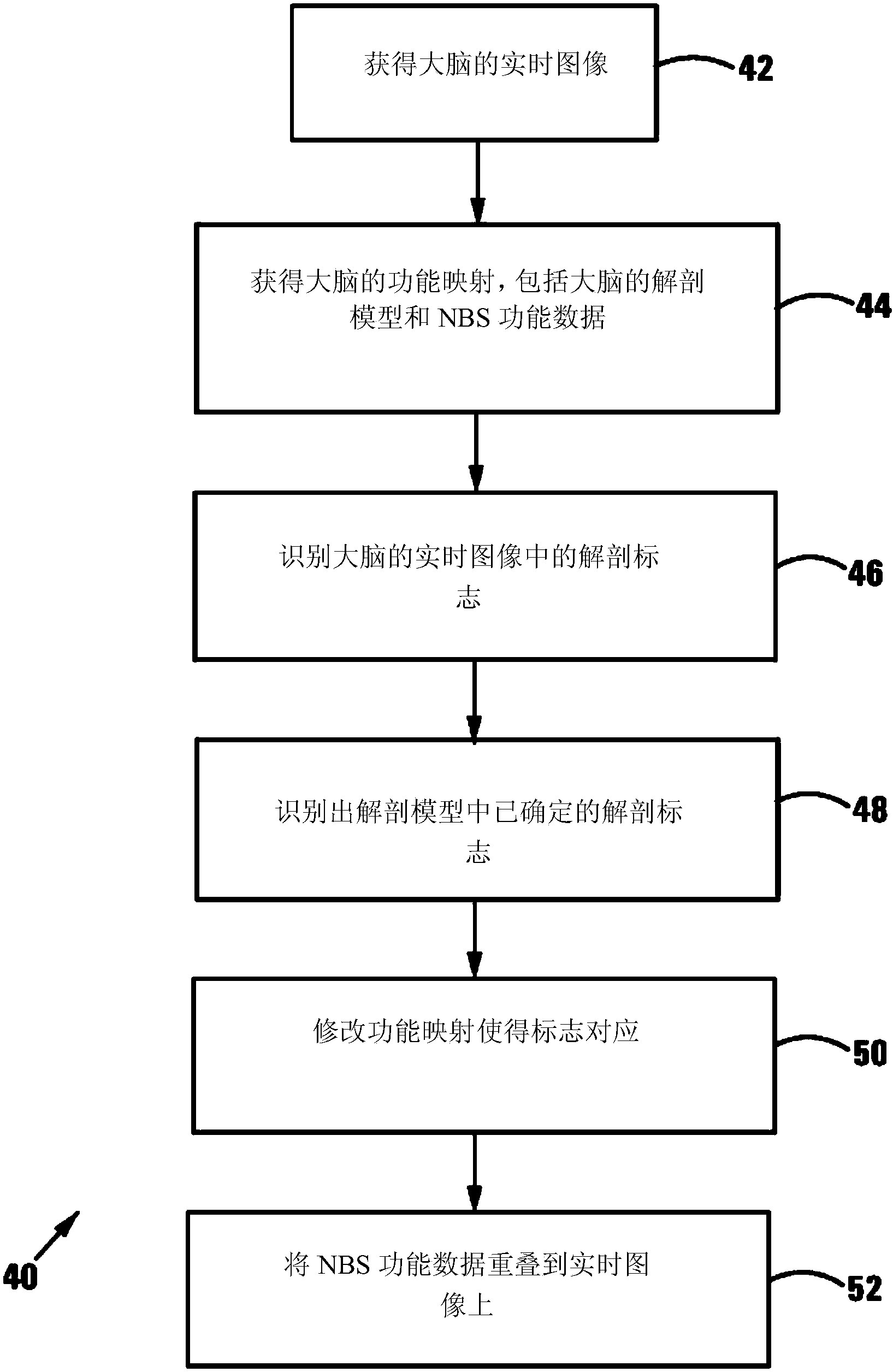 Method of and system for overlaying NBS functional data on a live image of a brain