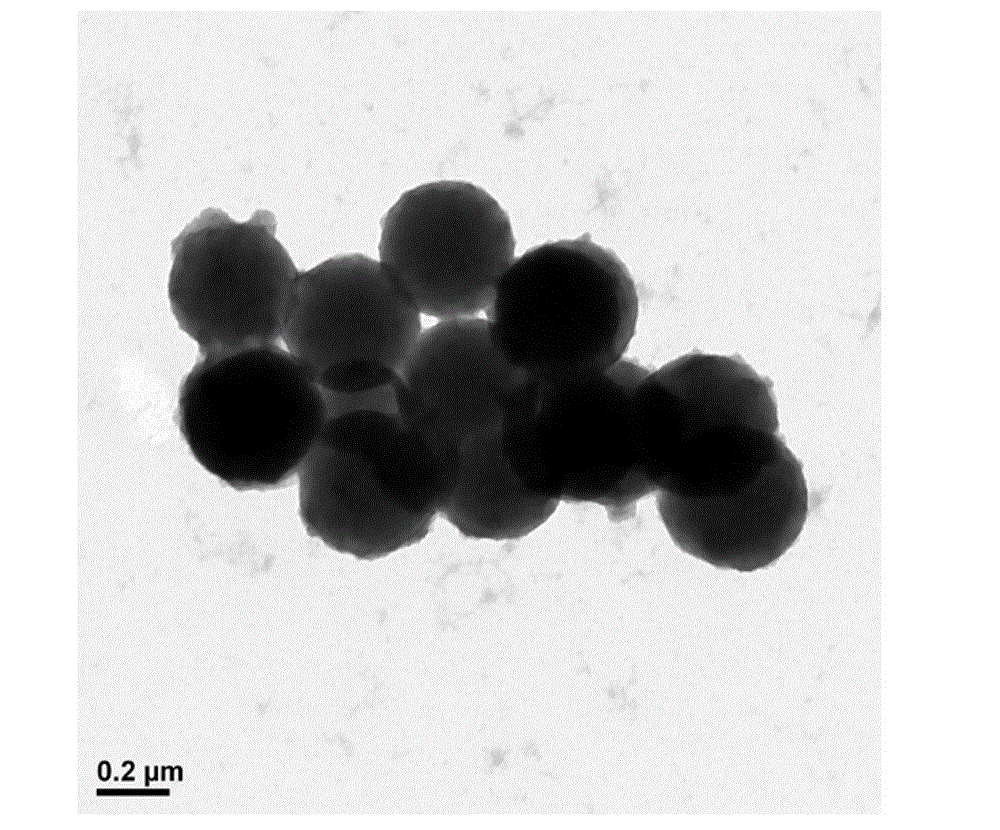 Negative pole material of lithium ion battery, preparation method of material and lithium ion battery