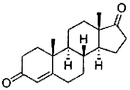 Double liquid phase fermentation method for preparing androstenedione by degrading plant sterol and