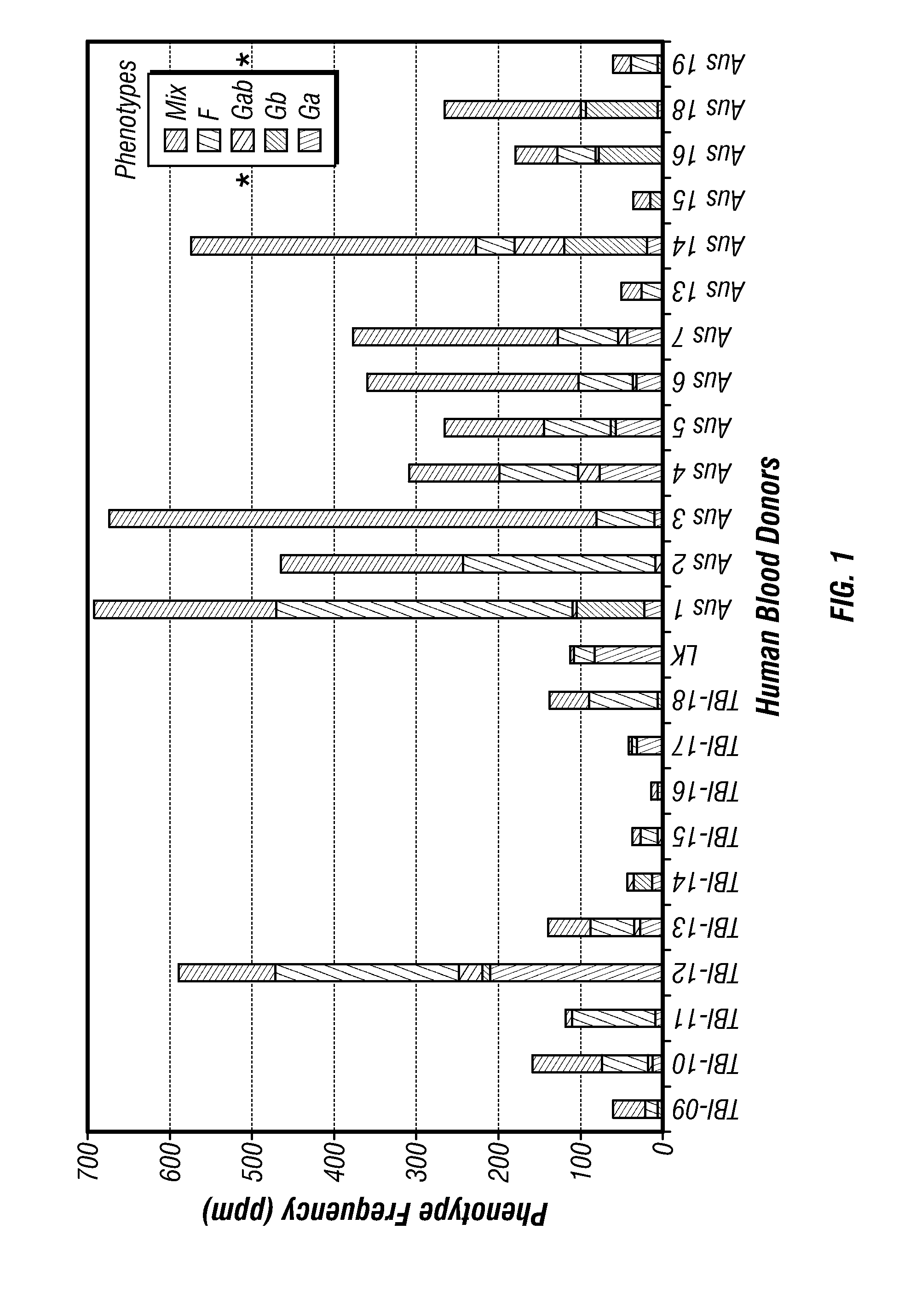 Anti-RSV G protein antibodies