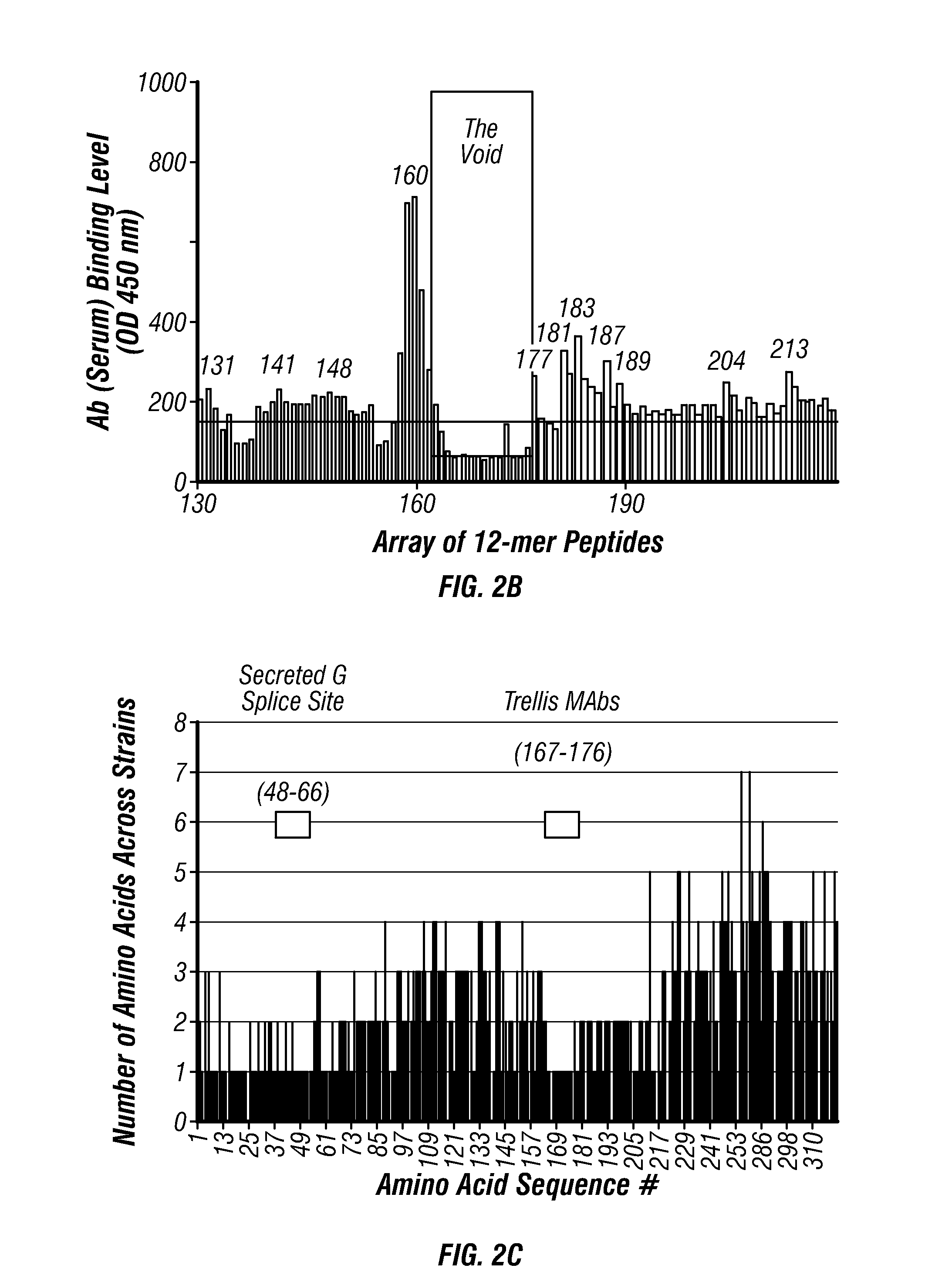 Anti-RSV G protein antibodies