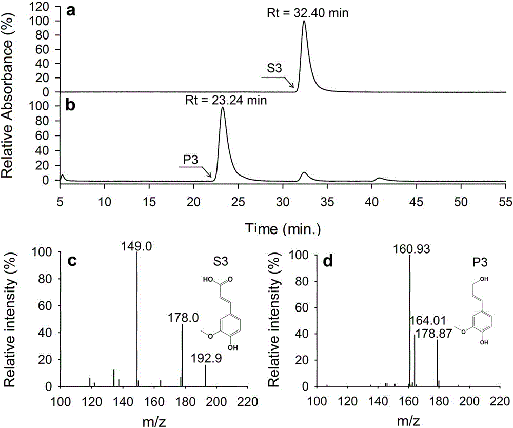 Method for producing continuously 4-hydroxycinnamyl alcohol using multi-strain immobilized cell composition