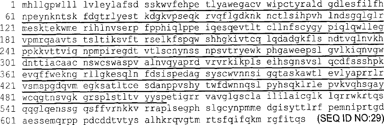 Antibodies and immunoconjugates and uses therefor