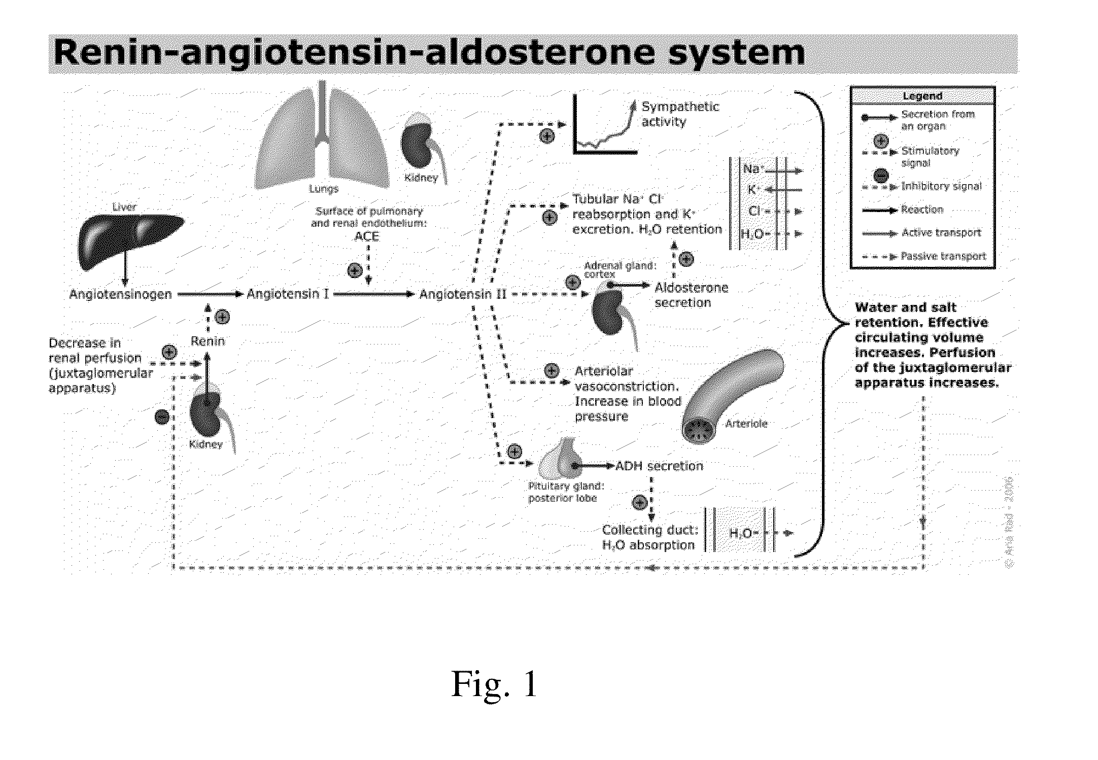 Method of Treating Low Blood Pressure