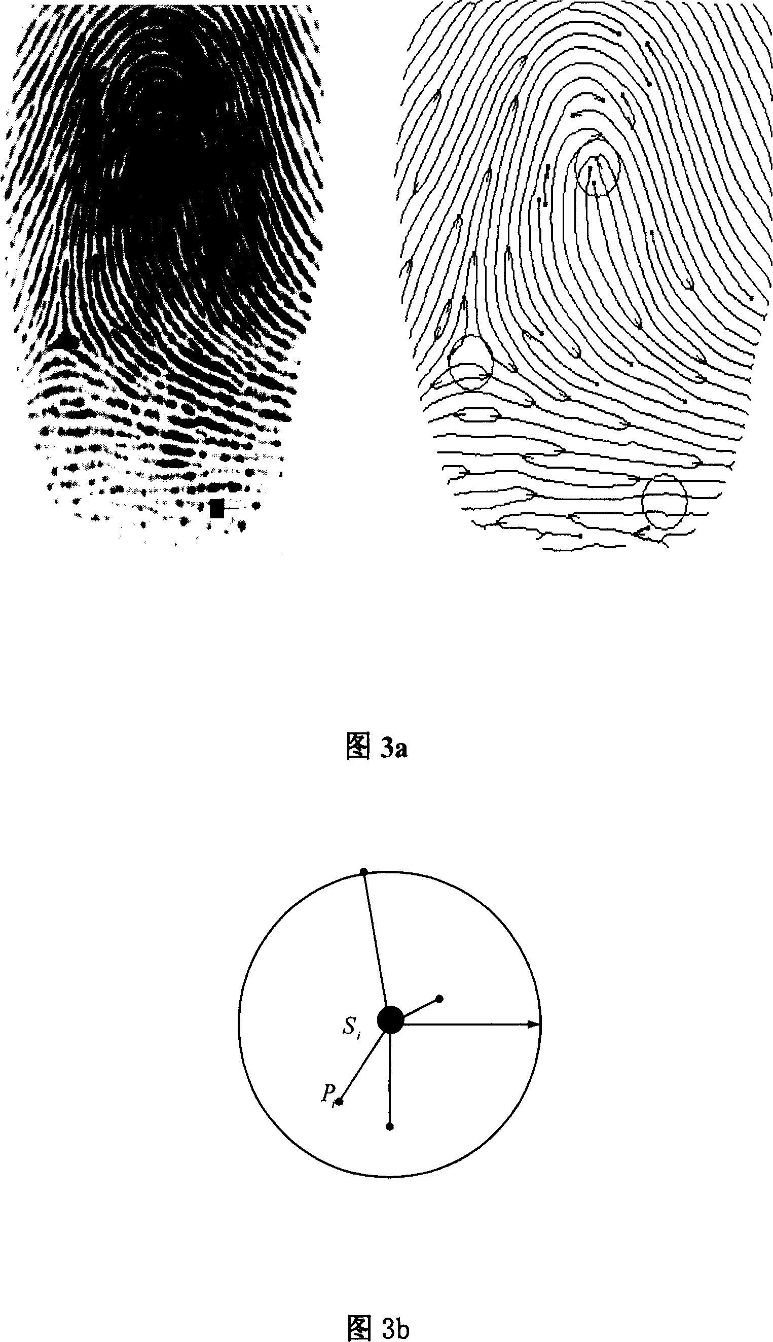 Quick fingerprint identification method based on strange topology structure