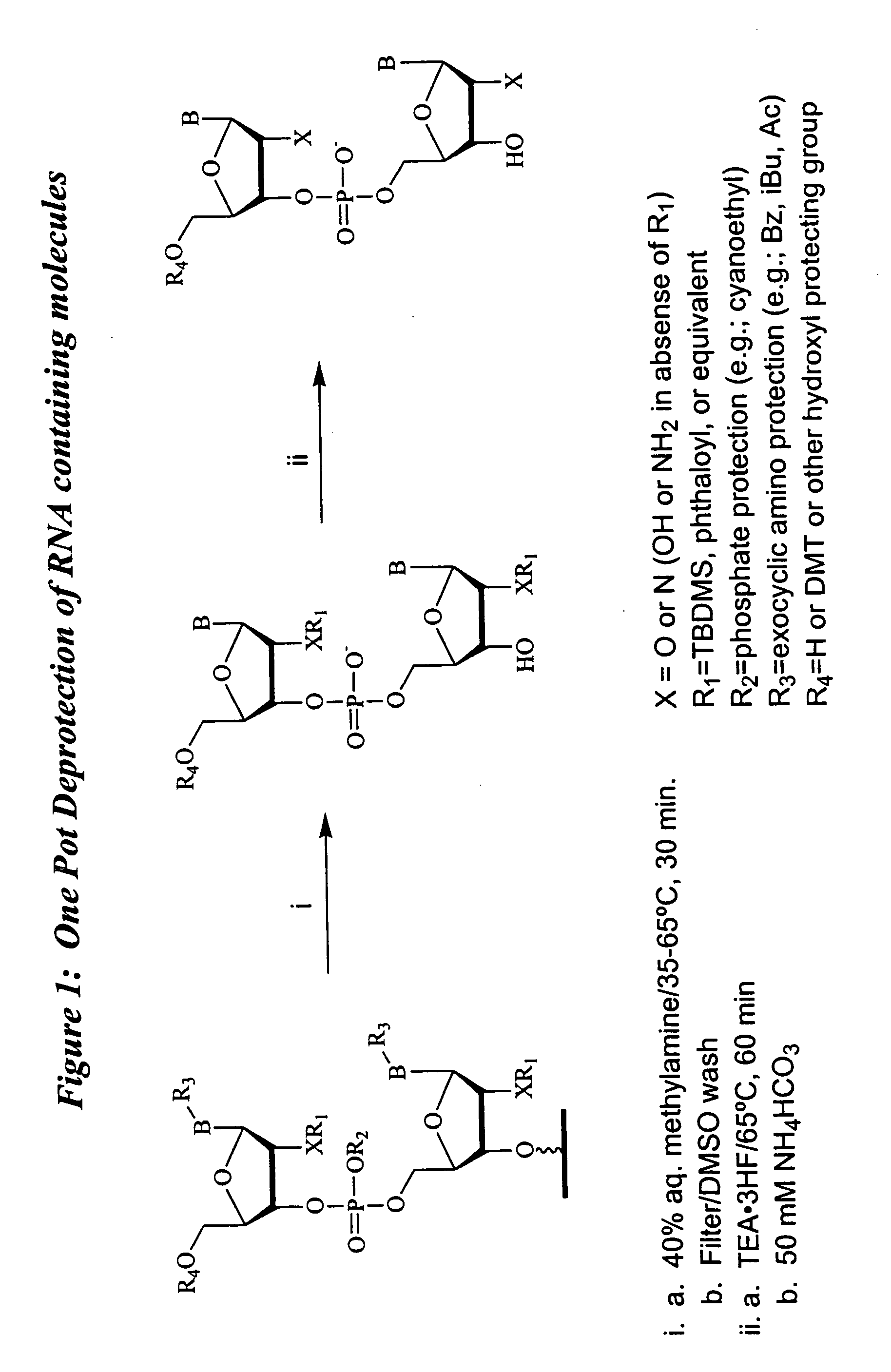 Deprotection and purification of oligonucleotides and their derivatives