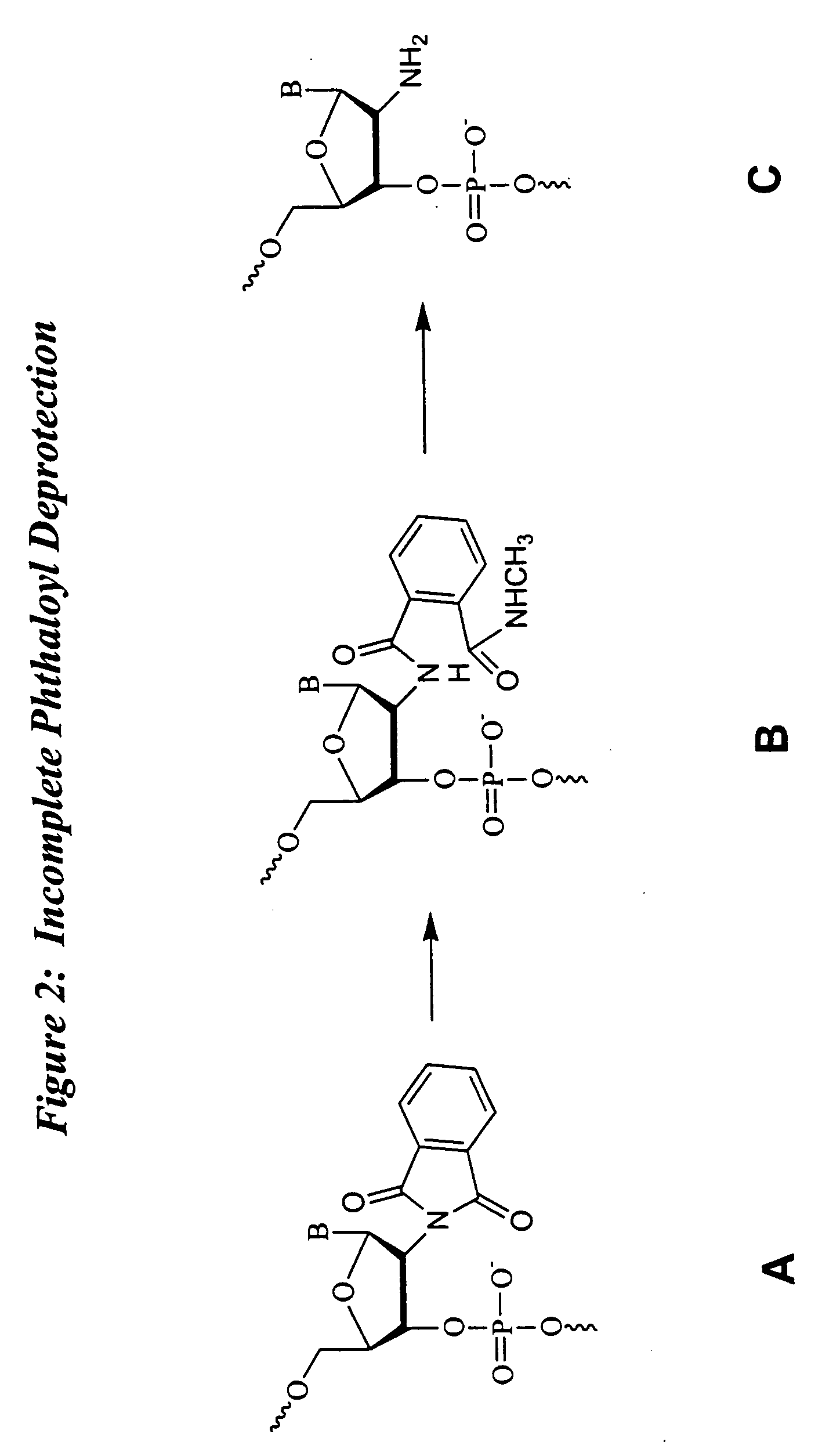 Deprotection and purification of oligonucleotides and their derivatives