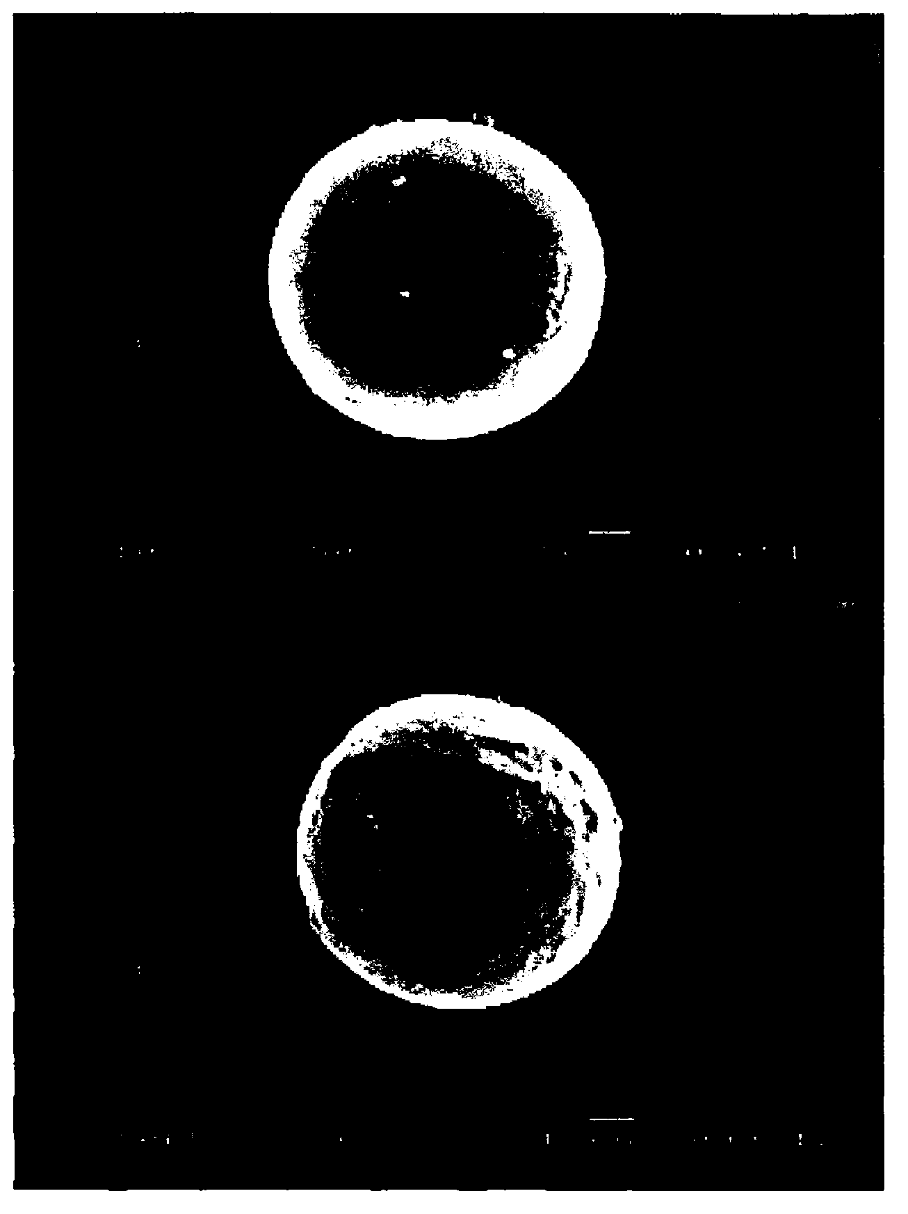 Method for preparing polymeric microspheres and polymeric microspheres produced thereby