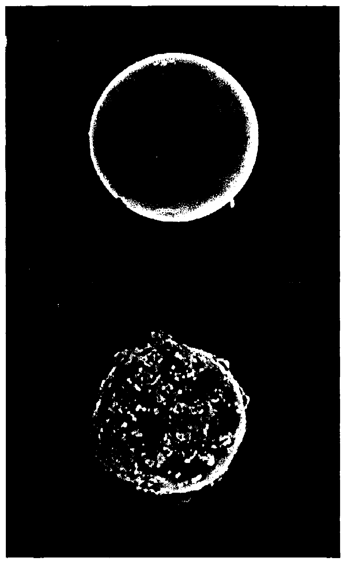 Method for preparing polymeric microspheres and polymeric microspheres produced thereby