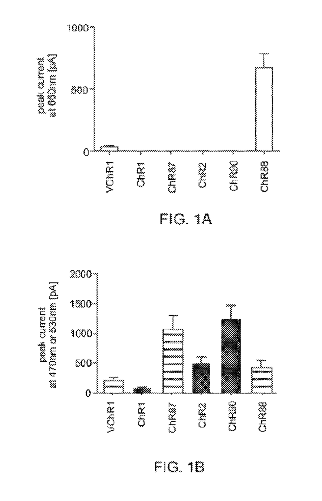 Channelrhodopsins for optical control of cells