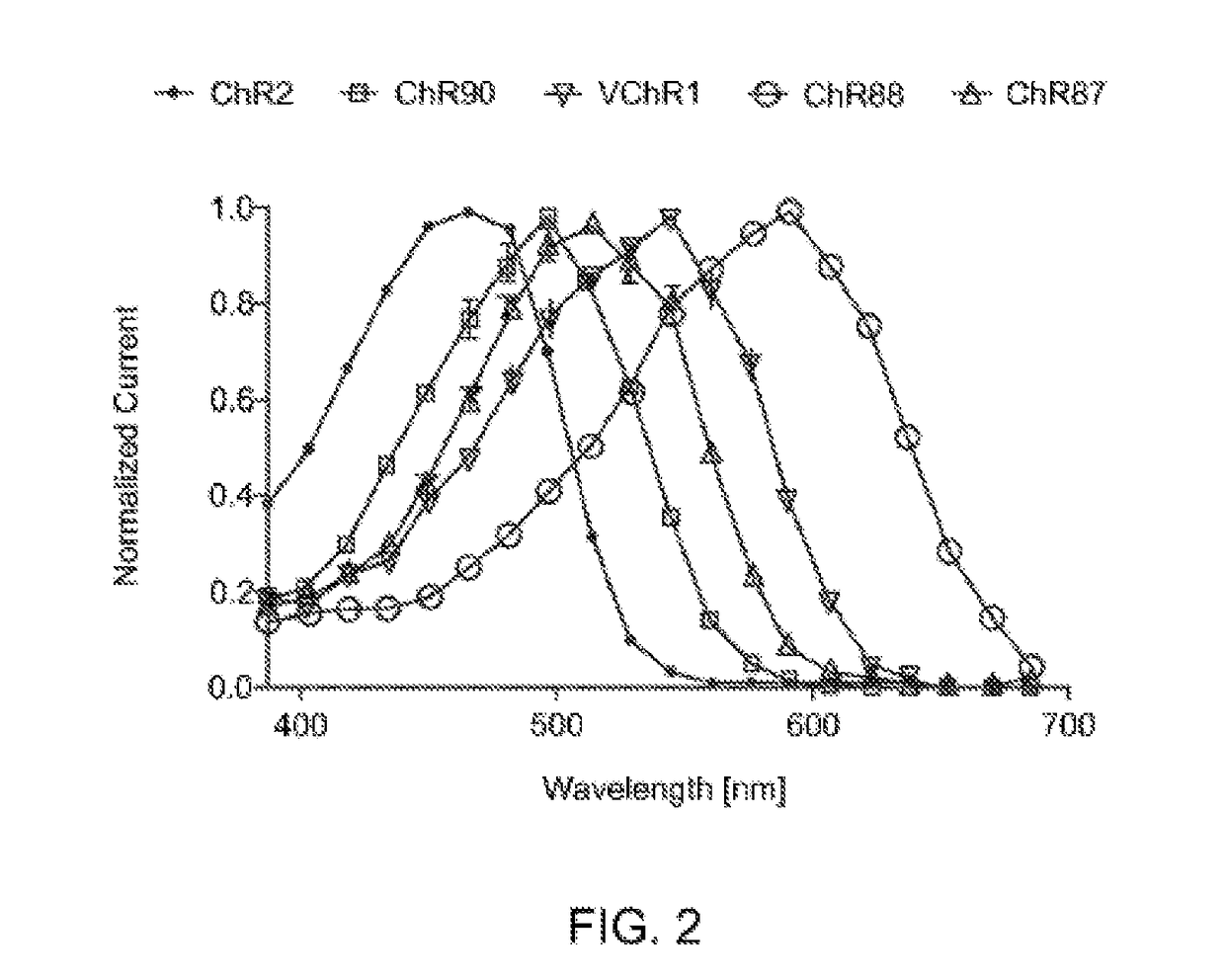 Channelrhodopsins for optical control of cells