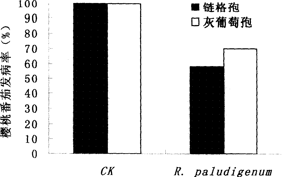 Sea yeast for diseases biological control of postharvest fruits and vegetables, and preparation and use thereof