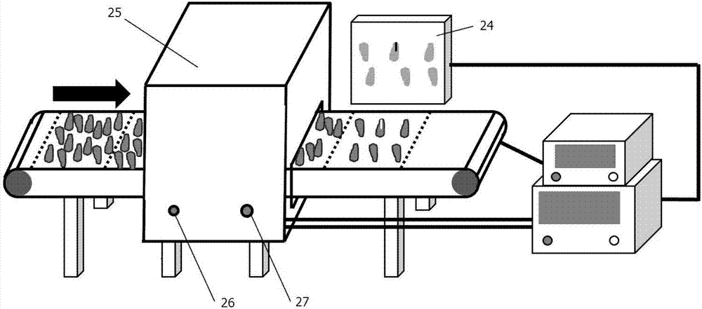 Detection equipment and method for fish fillets containing bones