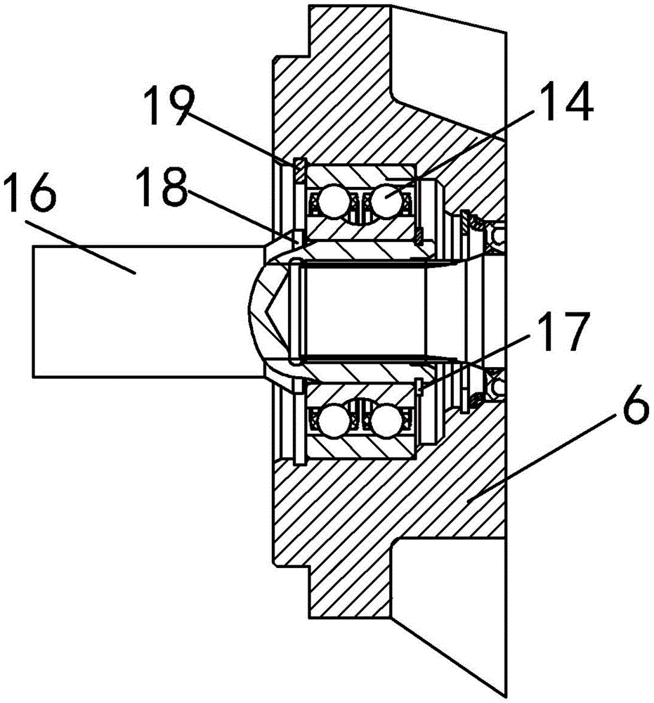 bidirectional gear motor