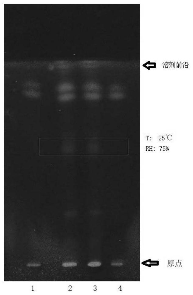 A kind of TLC identification method of fried peach kernel and its preparation