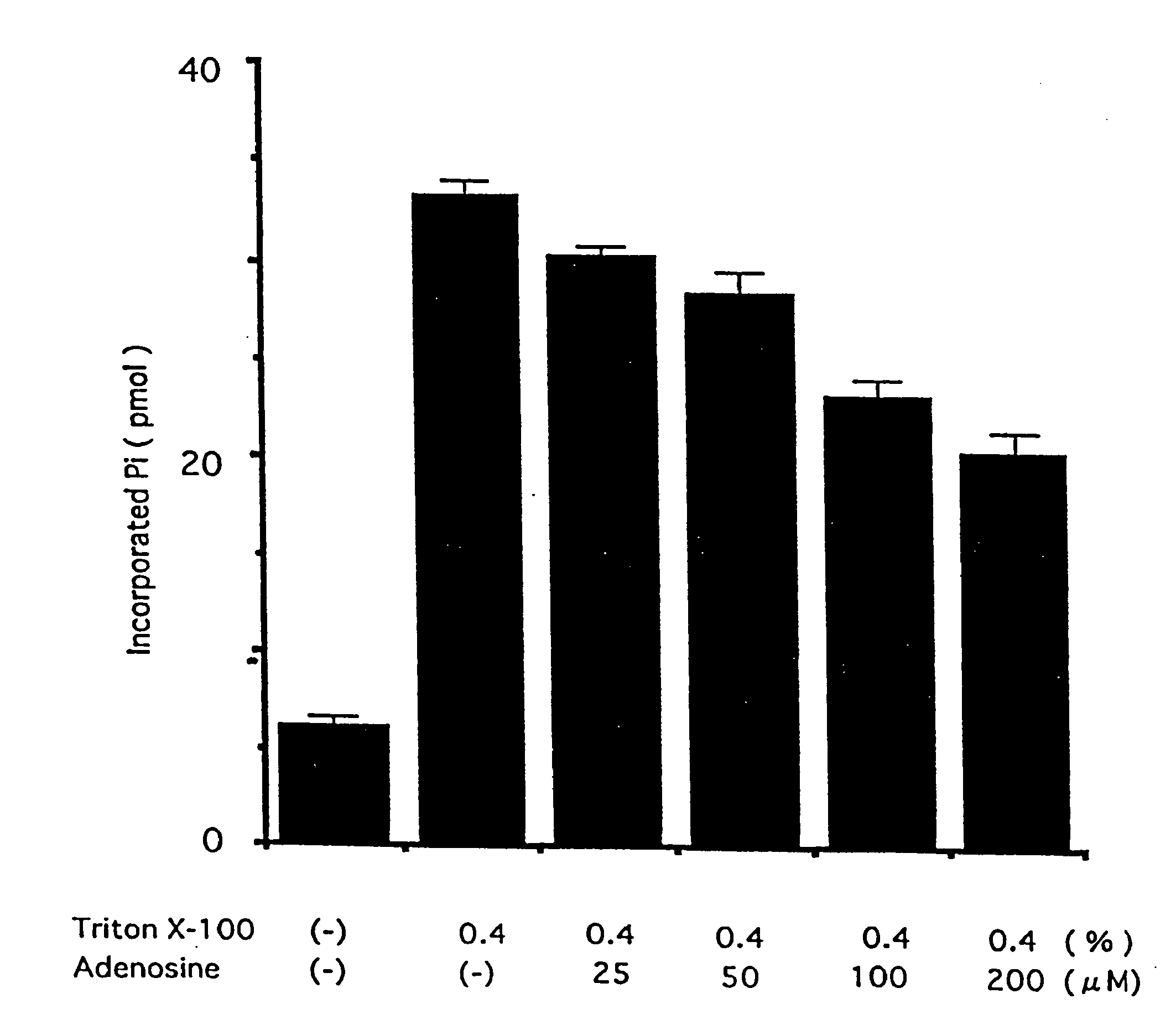 Human Gene