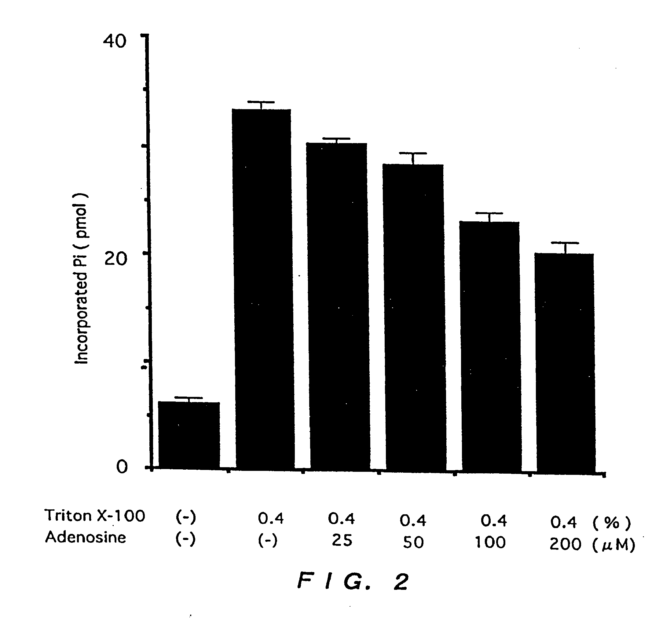 Human Gene