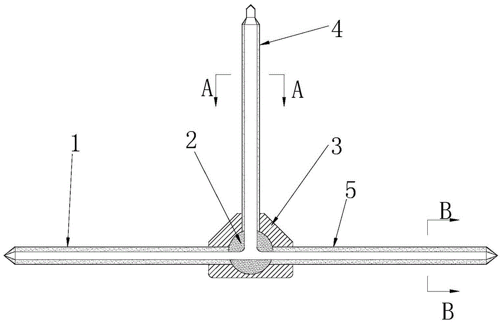 Multi-branch distribution heat pipe and manufacturing method thereof