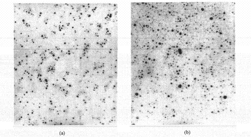 Method for preparing antibacterial nanometer silver colloid