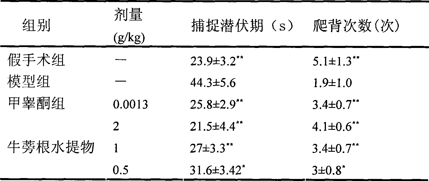 Extraction of burdock root aqueous extract and use