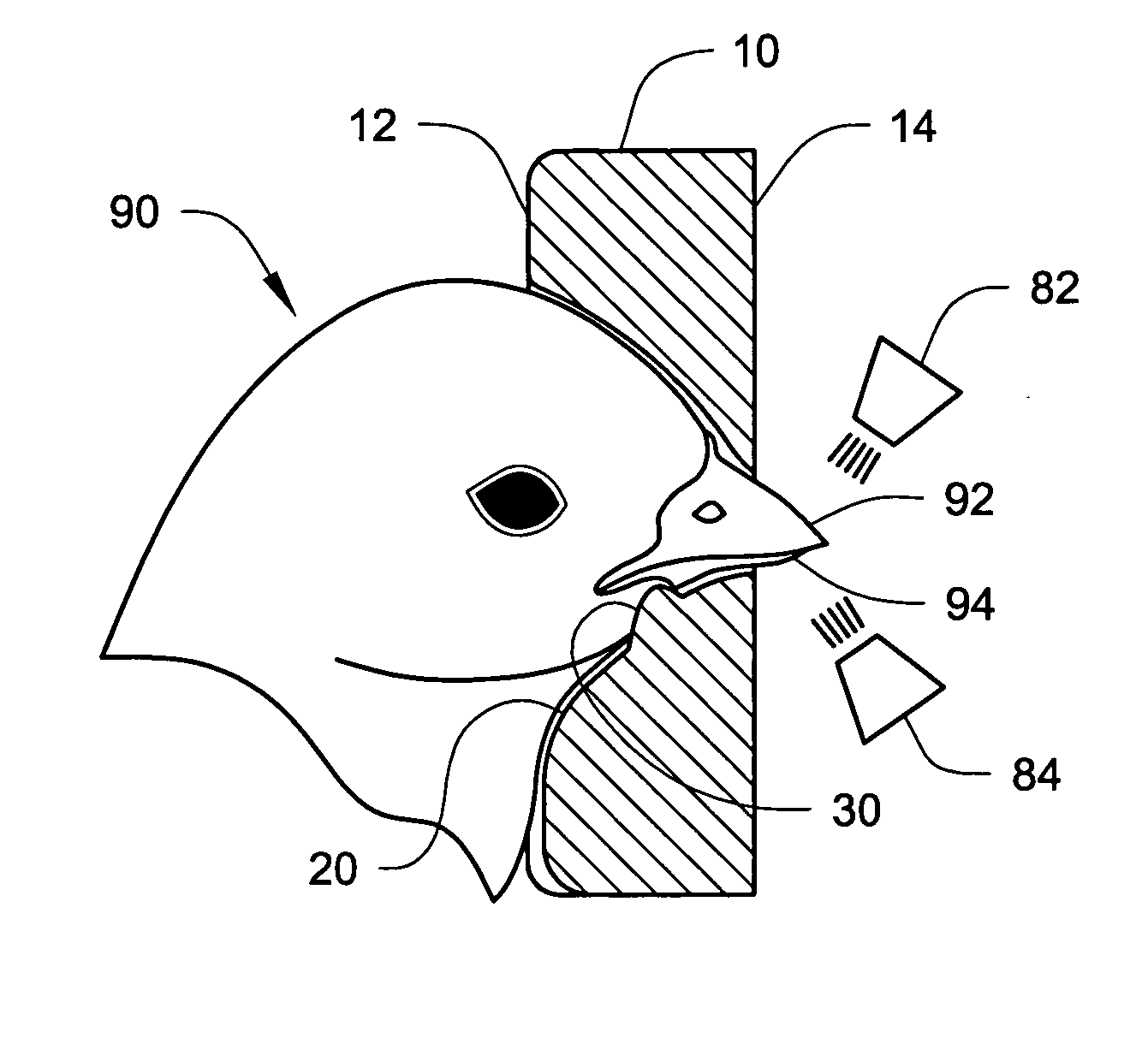 Beak treatment with tongue protection