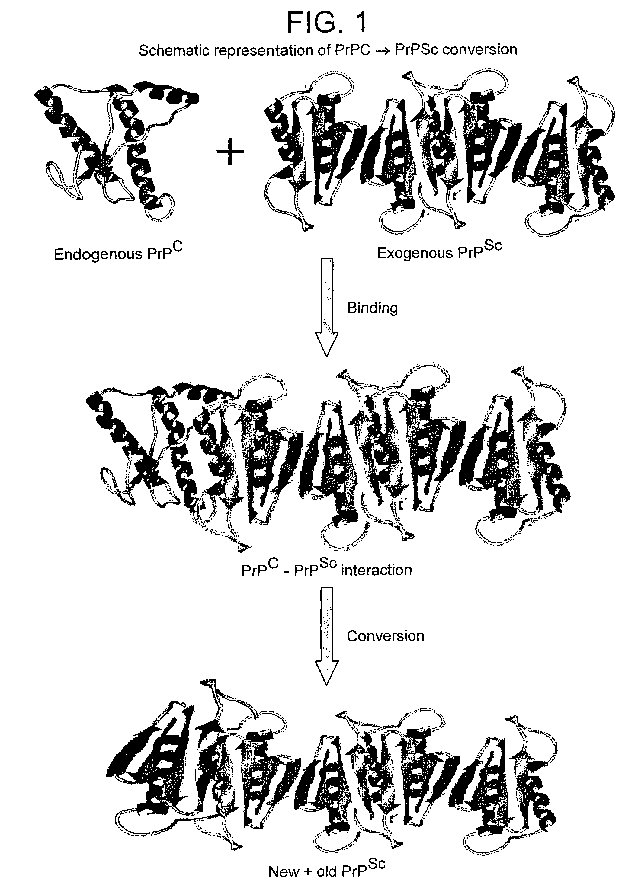 Early diagnosis of conformational diseases